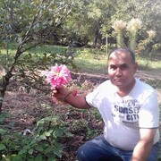 ���������� �����-���������, ���� ������� �����, 54 ����, ������������ ��� ����� � ���������, c�������� ���������, ���������