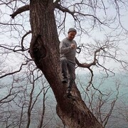 ���������� ������� ������, ���� ������� ����, 36 ���, ������������ ��� ������, ����� � ���������