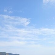 ���������� �������-�����, ���� ������� Roman, 35 ���, ������������ ��� ������, ����� � ���������, c�������� ���������, ���������