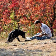 ���������� �������, ���� ������� Temo, 34 ����, ������������ ��� ������, ����� � ���������, c�������� ���������