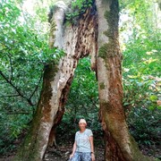 ���������� ����, ���� ������� ������, 60 ���, ������������ ��� ������, ����� � ���������, c�������� ���������