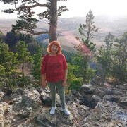 ���������� �����������, ���� ������� ��������, 66 ���, ������������ 