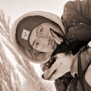 ���������� ����-�������, ������� �������, 29