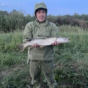 ���������� �����������, ���� ������� ���������, 39 ���, ������������ ��� c�������� ���������