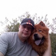 ���������� �������, ���� ������� ������, 37 ���, ������������ ��� ����� � ���������, c�������� ���������