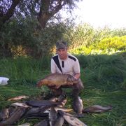  ,   , 53 ,   , 