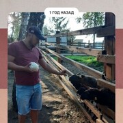 ���������� �����, ���� ������� �����, 35 ���, ������������ ��� ������, ����� � ���������, ���������