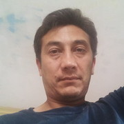  ,   , 43 ,  