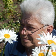  ,   , 65 ,   ,   , c , 
