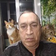   ,   , 66 ,   c , 