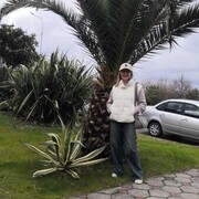  ,   , 44 ,   ,   , c 
