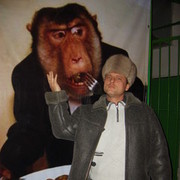 ���������� ��������, ���� ������� ������, 51 ���, ������������ ��� ����� � ���������, c�������� ���������