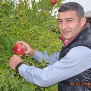  ,   Farman, 45 ,     , c 