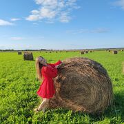 ���������� �����������, ����