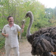  ,   Vladimir, 64 ,     , c 