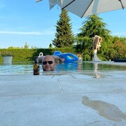  ,   Vladislav, 45 ,   ,   
