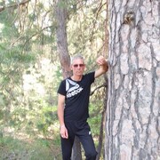 ���������� ��������, ���� ������� �������, 48 ���, ������������ ��� c�������� ���������