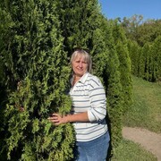 ���������� ������, ���� ������� �����, 49 ���, ������������ ��� ������, ����� � ���������, c�������� ���������