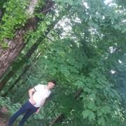  ,   Ilaman, 32 ,   ,   , c 