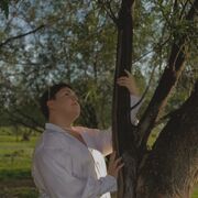 ���������� ������, ���� ����� ������, 20 ���, ������������ ��� ������, ����� � ���������, ���������