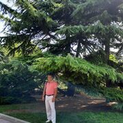 ���������� ���������, ���� ������� ���������, 59 ���, ������������ ��� ������, ����� � ���������