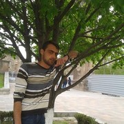  ,   Sos, 33 ,   