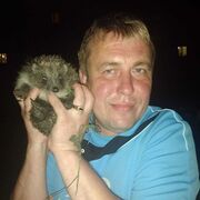 ���������� ������� ��������, ���� ������� �����, 42 ����, ������������ ��� ����� � ���������, c�������� ���������, ���������