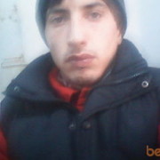  ,  cavad, 33