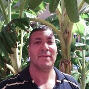  Algiers,  Rossi, 50