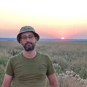  ,   , 41 ,   ,   
