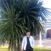  ,   Roma, 51 ,   ,   , c 