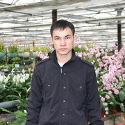  ,   Polat, 34 ,   
