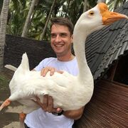 ���������� ���������, ���� ������� ������, 42 ����, ������������ ��� ������, ����� � ���������