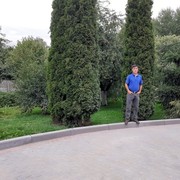 ���������� �����������, ���� ������� ������, 53 ����, ������������ ��� ������, ����� � ���������, c�������� ���������