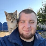 ���������� ��������, ������� Alexander, 29