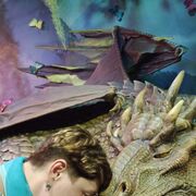 ���������� �����������, ���� ������� ������, 40 ���, ������������ ��� ������, ����� � ���������