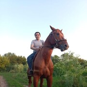 ���������� ������-��-����, ���� ������� Uzb bek, 30 ���, ������������ ��� ������, ����� � ���������