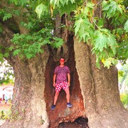 ���������� �������, ���� ������� ������, 32 ����, ������������ ��� ������, ����� � ���������, c�������� ���������