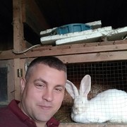  ,   , 39 ,   
