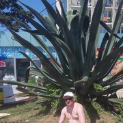  ,   , 42 ,   