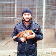  ,   Amiran, 34 ,   ,   , c 