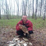 ���������� �����, ���� ������� Gosha, 56 ���, ������������ ��� ������, ����� � ���������, c�������� ���������