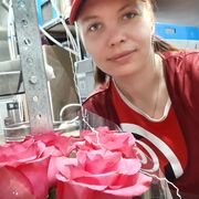 ���������� ����, �������