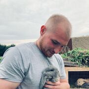 ���������� ������, ���� ������� ������, 29 ���, ������������ ��� ������, ����� � ���������, c�������� ���������, ���������