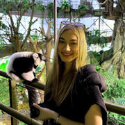 ���������� ������, ����