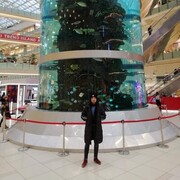 ���������� ������, ���� ������� ������, 45 ���, ������������ ��� ������, ����� � ���������