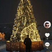  -,   Murat, 46 ,   ,   