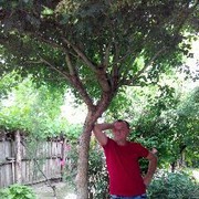  ,   Sergei, 45 ,   ,   , c 