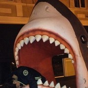 ���������� ������, ���� ������� Sofiya, 33 ����, ������������ 