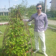 ���������� �����, ���� ������� Brus, 31 ���, ������������ ��� ������, ����� � ���������, c�������� ���������